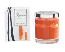 Load image into Gallery viewer, Rigaud Paris Vesuve Candle