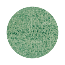 Load image into Gallery viewer, Shagreen Round Placemat by Hestia Everyday Living