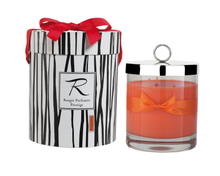 Load image into Gallery viewer, Rigaud Paris Vesuve Candle