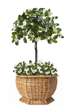 Load image into Gallery viewer, The Enchanted Home - Hexagon Wicker Planter (3 Sizes): Medium
