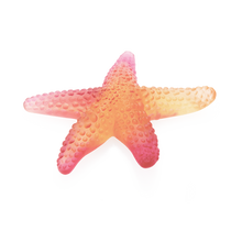 Load image into Gallery viewer, Coral Sea Starfish By Daum