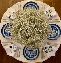 Load image into Gallery viewer, Blue Canton Dinner Plate by Mottahedeh, Large
