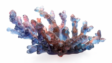 Load image into Gallery viewer, Coral Sea Blue Red Medium Bowl by Daum