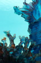 Load image into Gallery viewer, Coral Sea Blue Red Medium Bowl by Daum