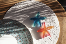 Load image into Gallery viewer, Coral Sea Starfish By Daum