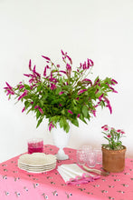 Load image into Gallery viewer, Manzanilla Bougainvillea Rectangular Tablecloth