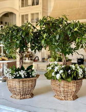 Load image into Gallery viewer, The Enchanted Home - Hexagon Wicker Planter (3 Sizes): Medium
