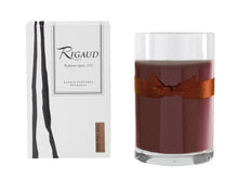 Load image into Gallery viewer, Rigaud Paris Bois Precieux Candle
