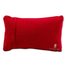 Load image into Gallery viewer, Furbish Studio - Control Freak Needlepoint Pillow
