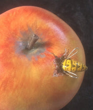 Load image into Gallery viewer, Apple with Bee Pottery
