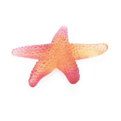Coral Sea Starfish By Daum