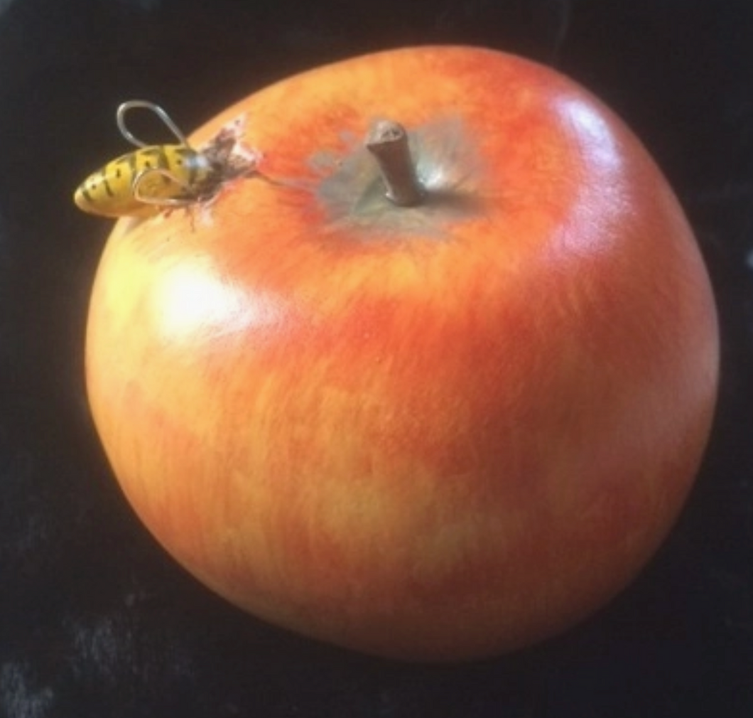 Apple with Bee Pottery
