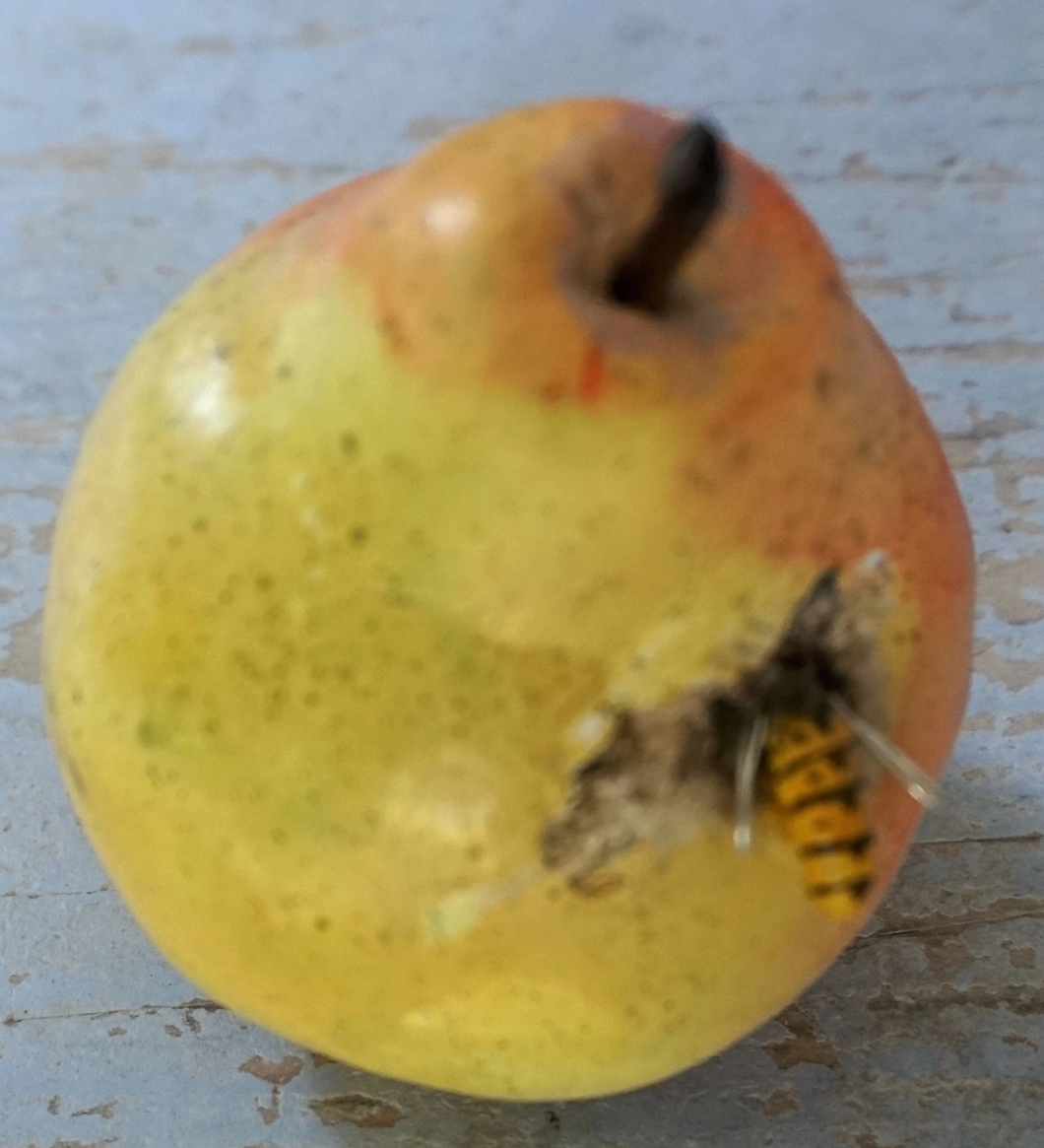 Pottery Pear with Bee
